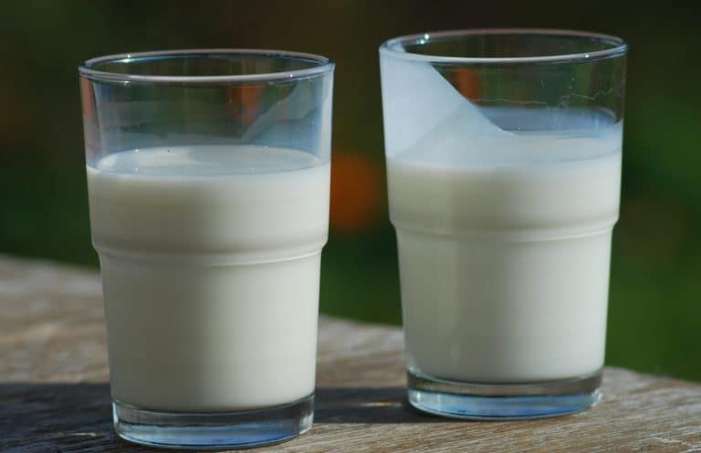 vasos de leche
